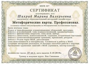 IMG 6679 0d65ae4